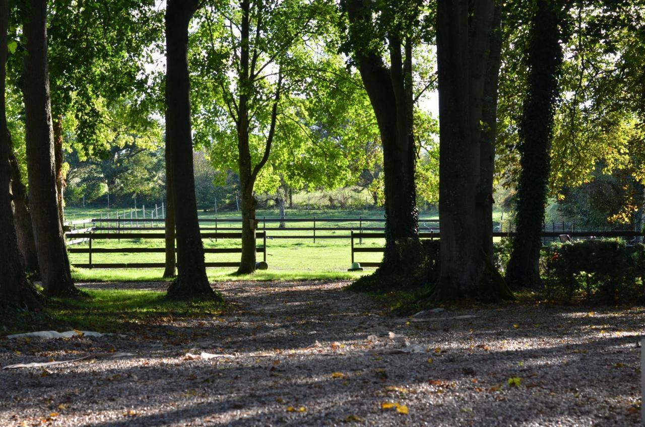 B&B La Tour Blanche Forest-Montiers ภายนอก รูปภาพ