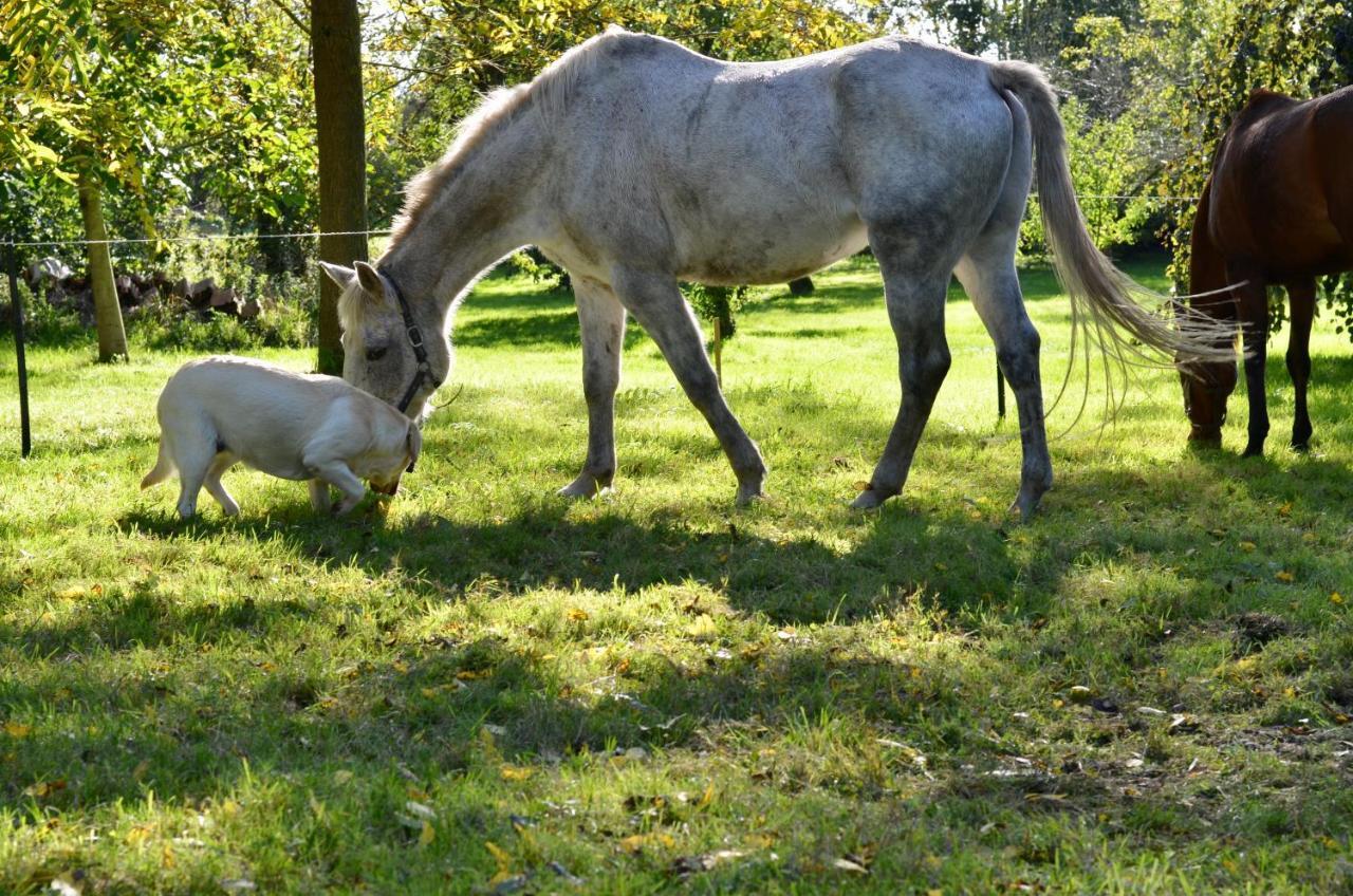 B&B La Tour Blanche Forest-Montiers ภายนอก รูปภาพ